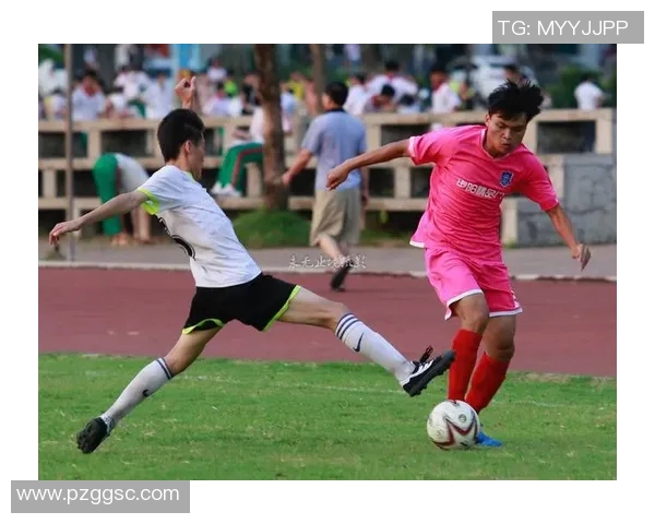 追梦绿茵：足球明星们的奋斗与荣耀之路